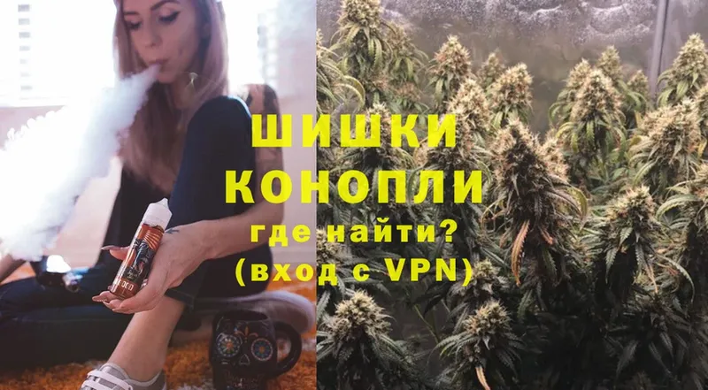 Бошки Шишки план  Нижняя Тура 